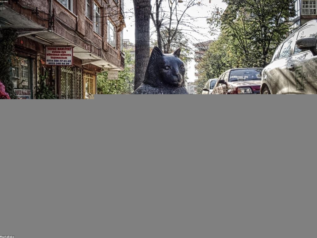 អត្ថបទ និង ព័ត៌មាន: ការពិភាក្សាអំពីសារសំខាន់នៃការបោះពុម្ភ